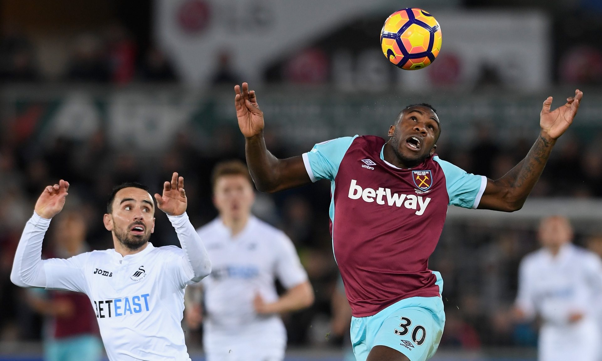 爱好者提供 爱好者提供